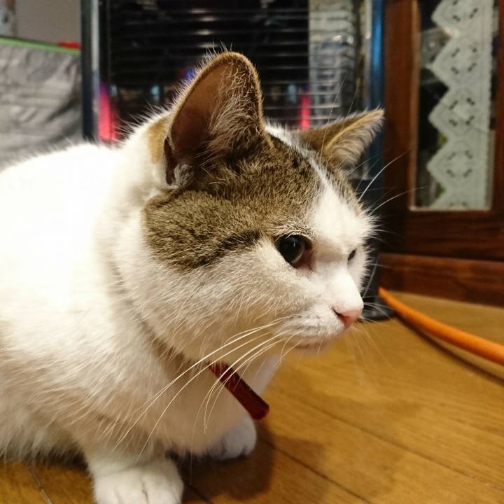 9a8fa628 7fe5 4cfe ada6 c9a83974dc51 1513378569908