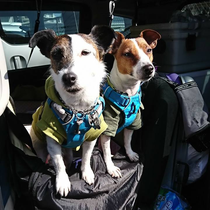 9a8fc100 3198 4e06 a38e aba3753b94e7 1582507188000