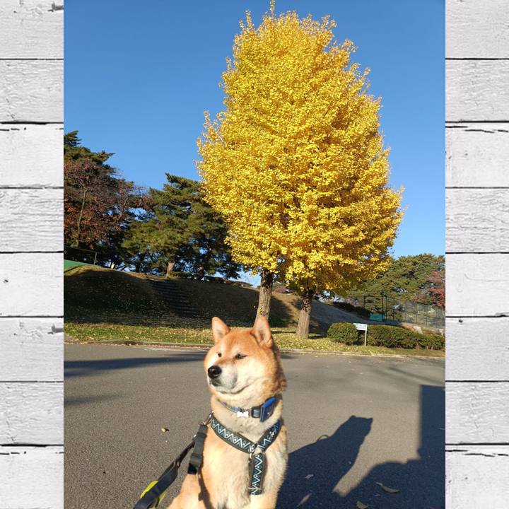 9a9005c2 da3e 4389 8946 3974b3cdaf34 1763686254111