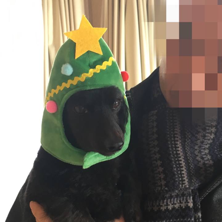 9a90435c 4b61 4cc2 b977 63c0d1ae0ff7 1514084604335