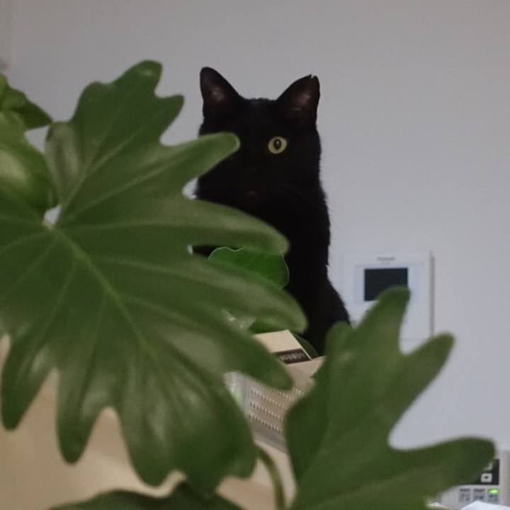 9a905dc2 c611 4b93 a529 332ba6a7ff21 1562343489718