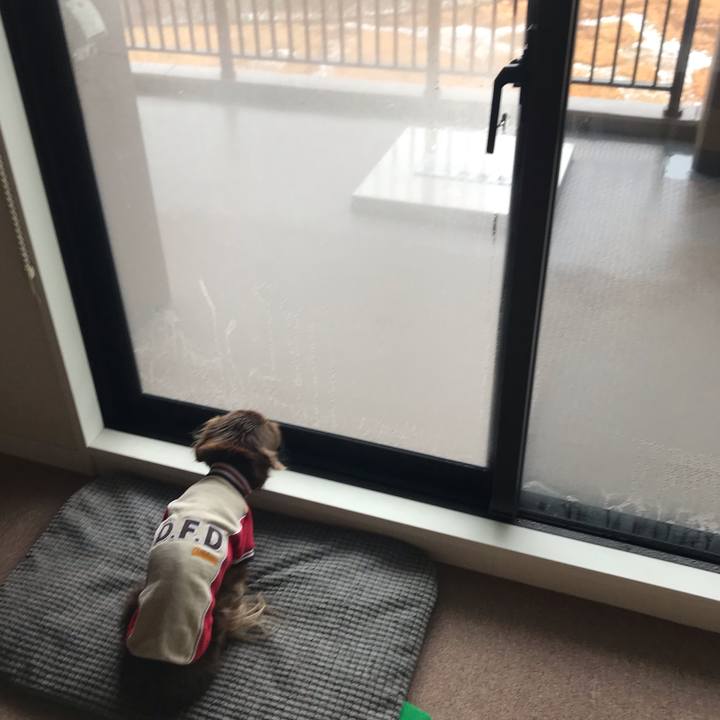 9a906cf8 d5cc 462b bb91 7348d2484d49 1580179249512