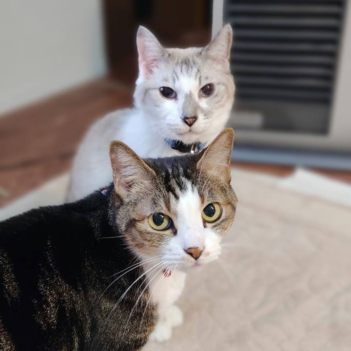 9a909a22 6d8a 47eb 97e1 99d079e924ed 1639308863874