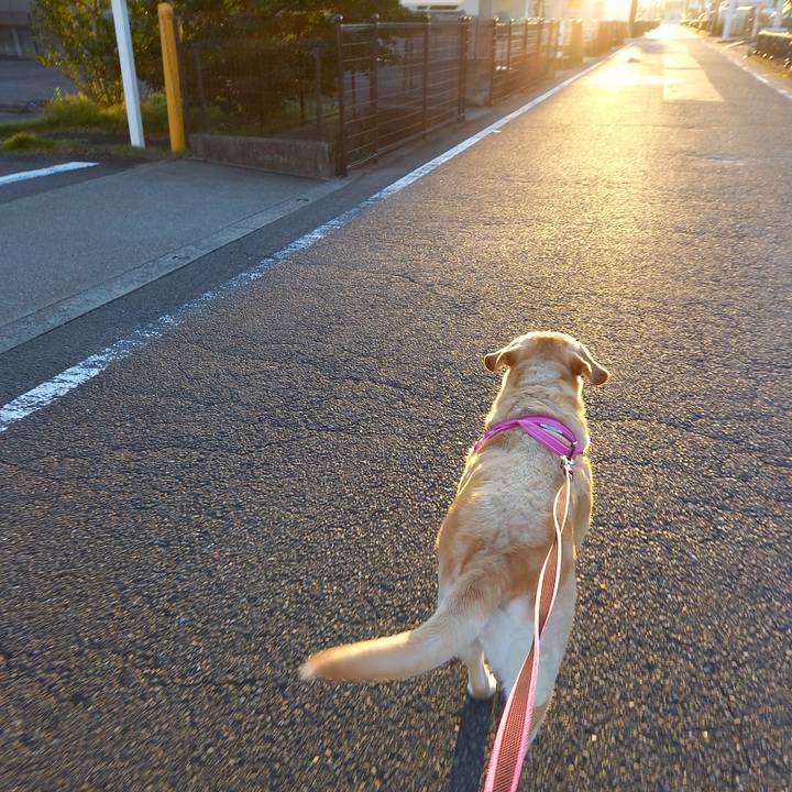 9a90bacb a869 4cf1 b0f0 4c440383d995 1630887625801