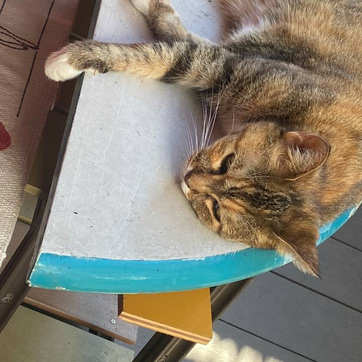 9a90c2ae 58b7 4677 ba77 67d60e7bcd74 1626610774687