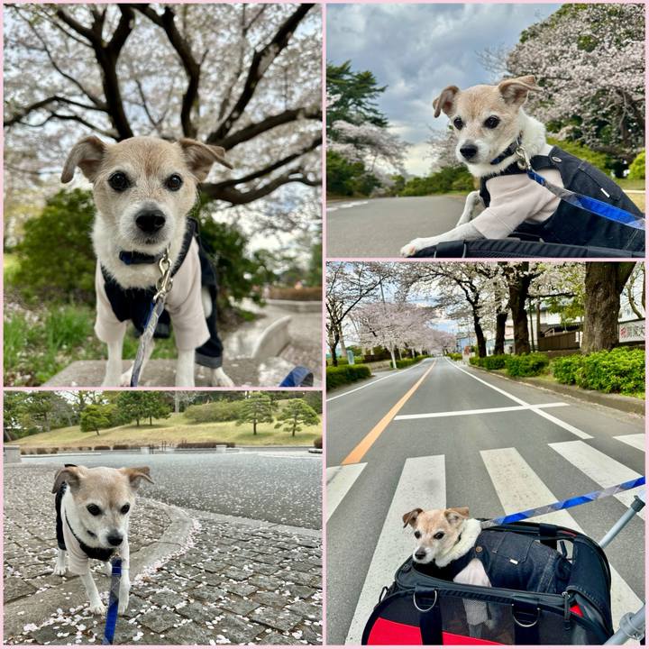 9a910939 dc1a 4e9b 840e 61f3e14028e7 1744017777355