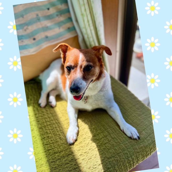 9a910c5e 9822 4c1a 8e0f f2953050e2f9 1691627414612