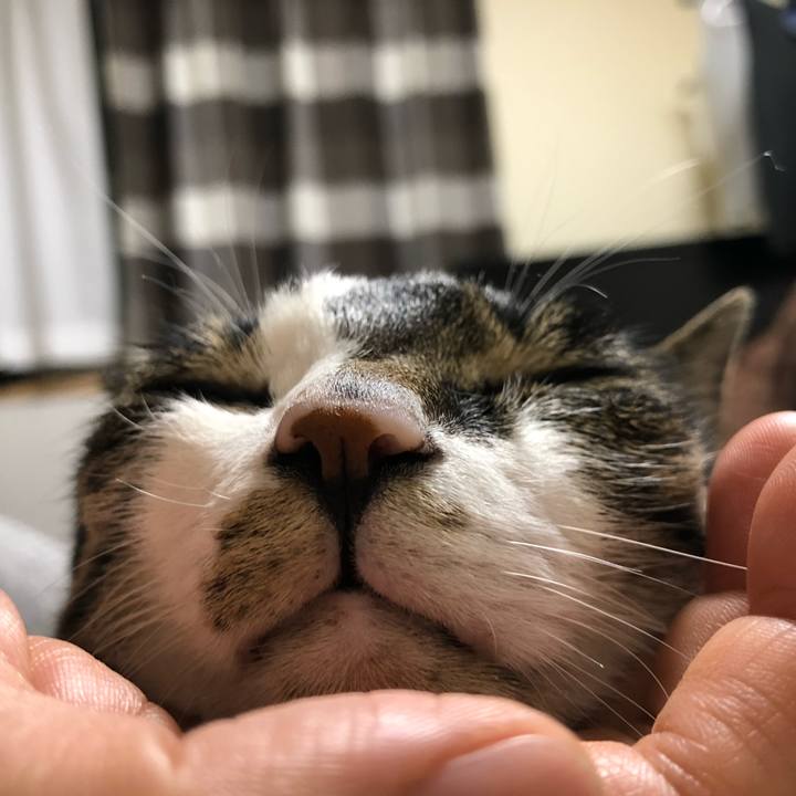 9a911cc5 abc2 4a55 9c7c 099735da28c3 1650917235355