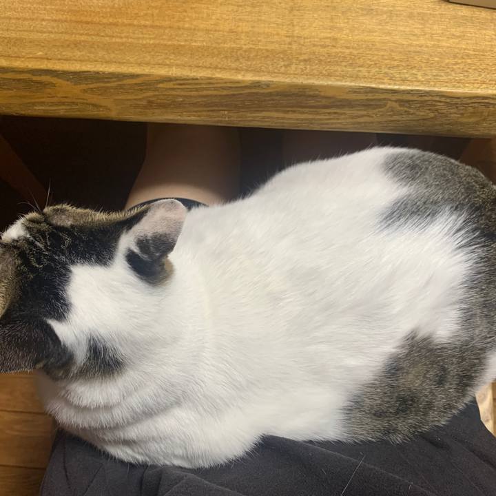 9a911daa 5416 4ca8 9e53 0ded991faa37 1669293728457