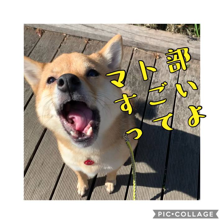 9a912b0a 896d 4fd1 943f 29ddfa7ffc2c 1610258065907
