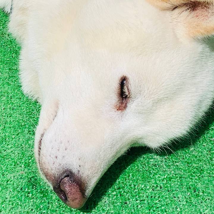 9a91315b a086 49f1 8076 a9d12ab59c1a 1597553049983