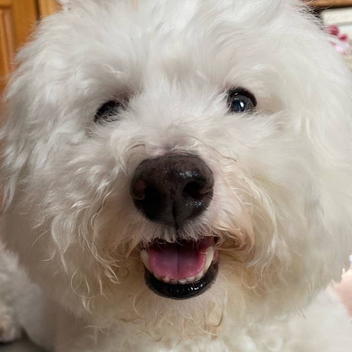 9a9167e4 88b4 45d5 9205 af4cc1492279 1630892532573