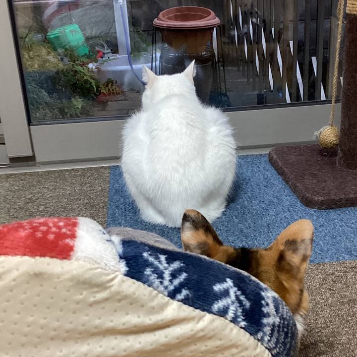 9a916ebb 3f97 4379 aa33 8ec2ecca3fab 1764971707392