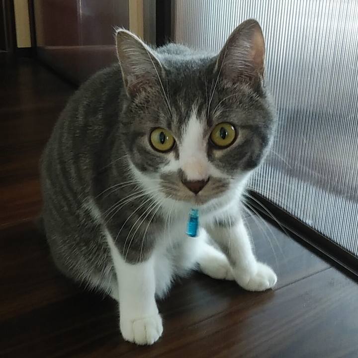 9a917d58 b458 4642 a383 93e62f2acadf 1581722452331