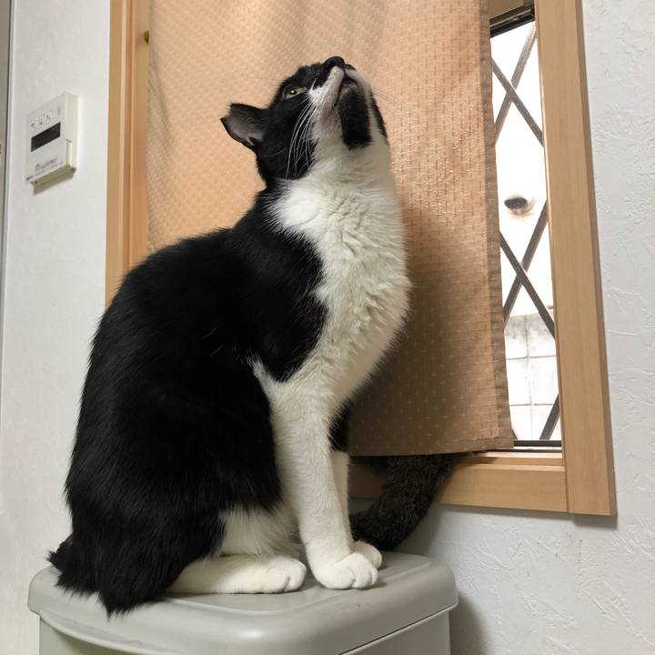 9a91f853 8dbc 4831 82ca eadc3b387f2c 1554014557605