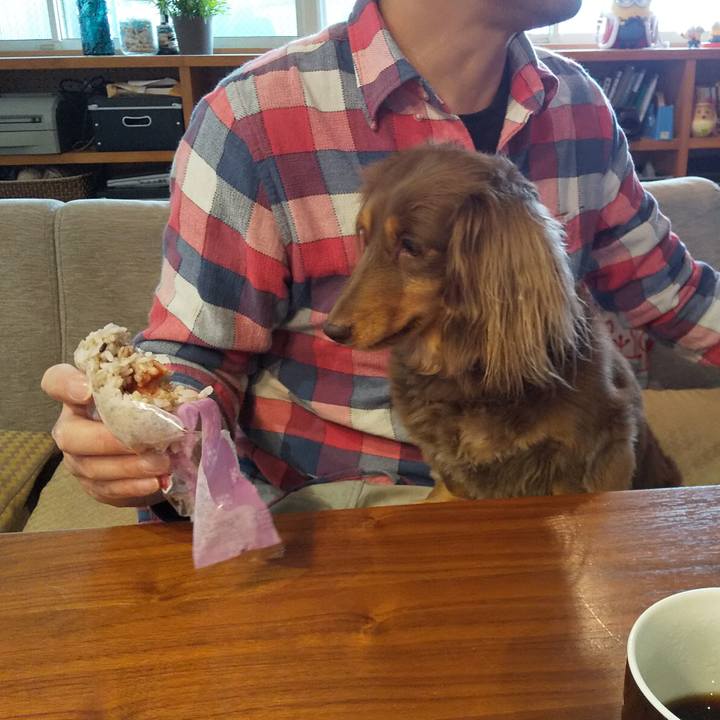 9a91fe24 010f 48fc 9a42 76ce118e656f 1556325146221