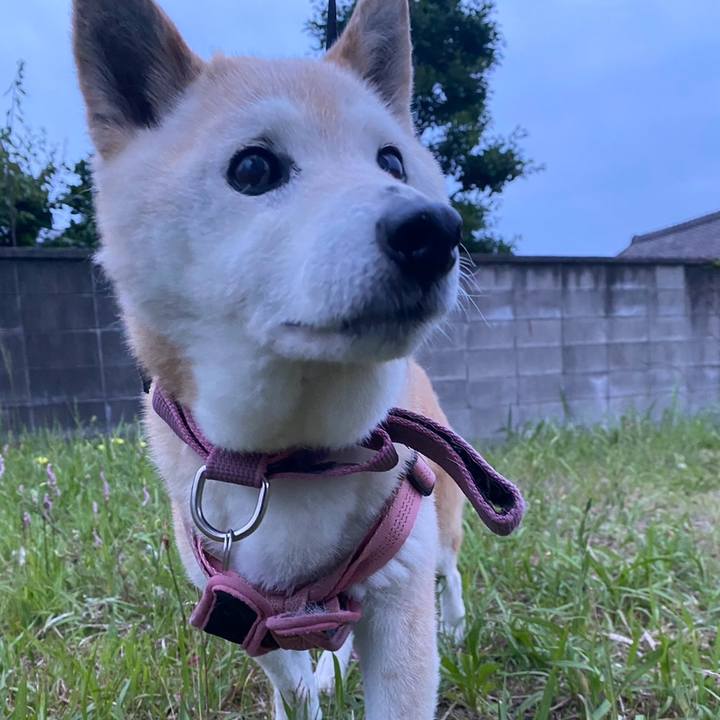 9a9232b1 32fb 4506 b65b 6b310d4bafbd 1719029826985