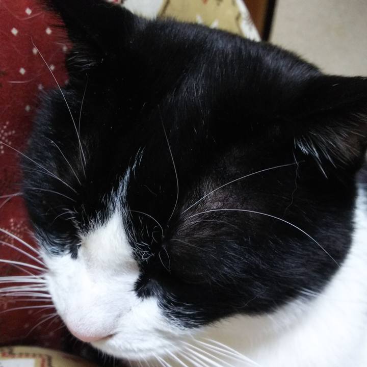 9a924ef4 60ae 4798 b501 706eae1622db 1549796913799