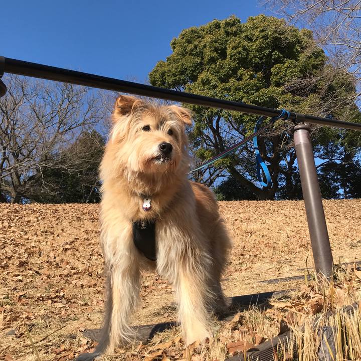 9a926278 a259 4f1e ad7c 3bfb1641444c 1642376084217