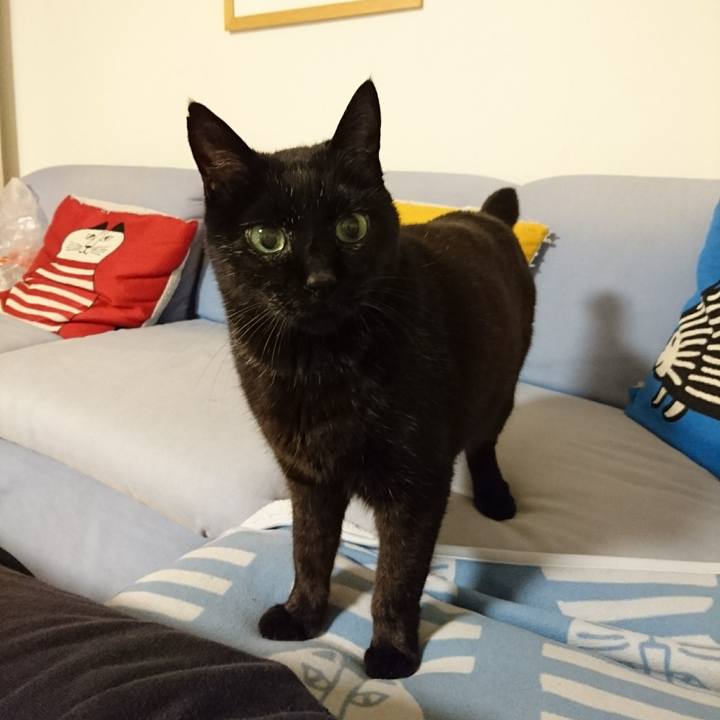 9a928c6c 9a59 4089 ab1c 24ac67279a09 1588329391519