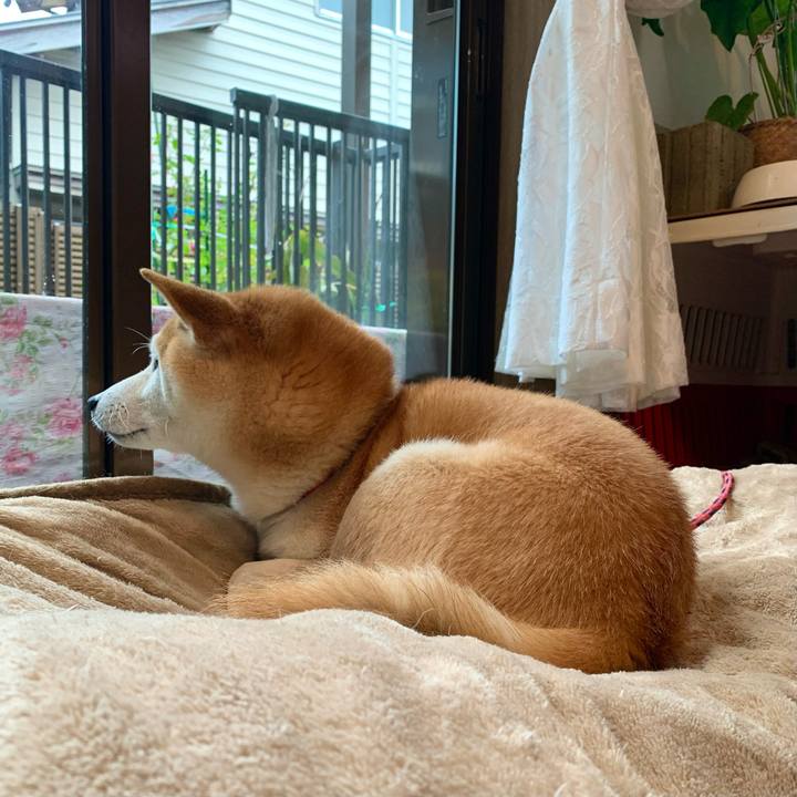 9a928f74 27d7 4e91 9b52 607be8fd85d1 1669194200707