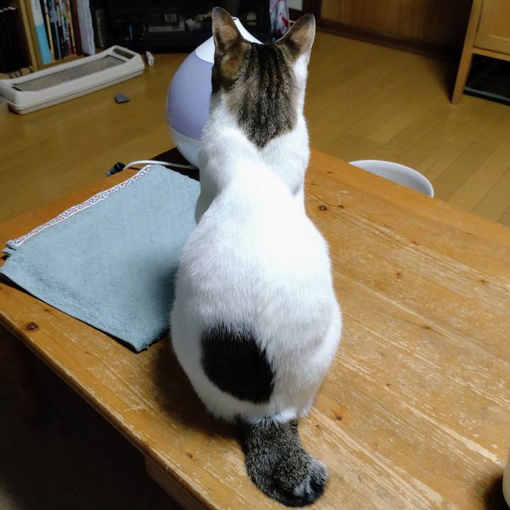 9a92a43b e477 421b 93ad 13838bbe896c 1679303673136