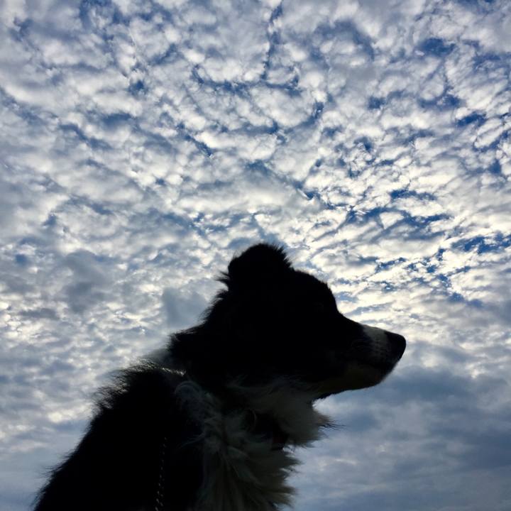 9a92be47 8069 46b3 9d50 d38308337b71 1575501909260