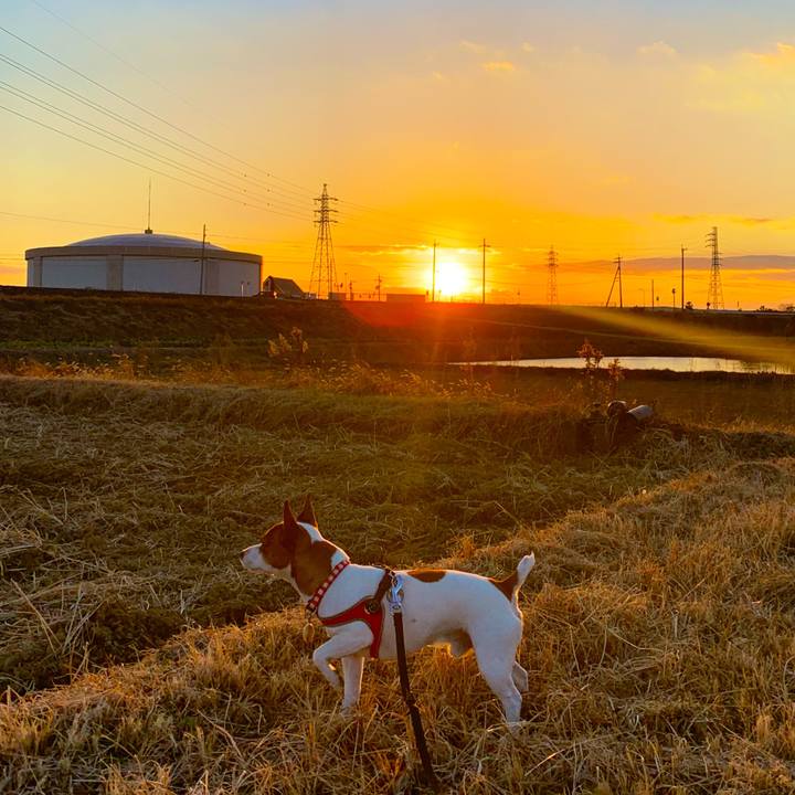 9a92c4de b663 443c 8784 2af05ad58987 1549110176301