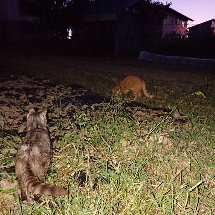 9a92d3d8 877c 40e7 aa51 6cea5c0b2751 1568539908208