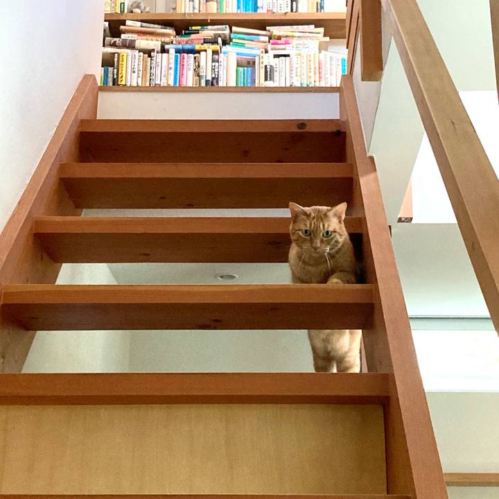 9a92f661 ac94 4a01 a711 1c1df82cfa70 1628122974317