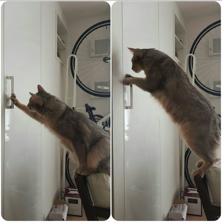 9a92fe68 8887 4651 be0b f4a95fbfddb5 1547938223084