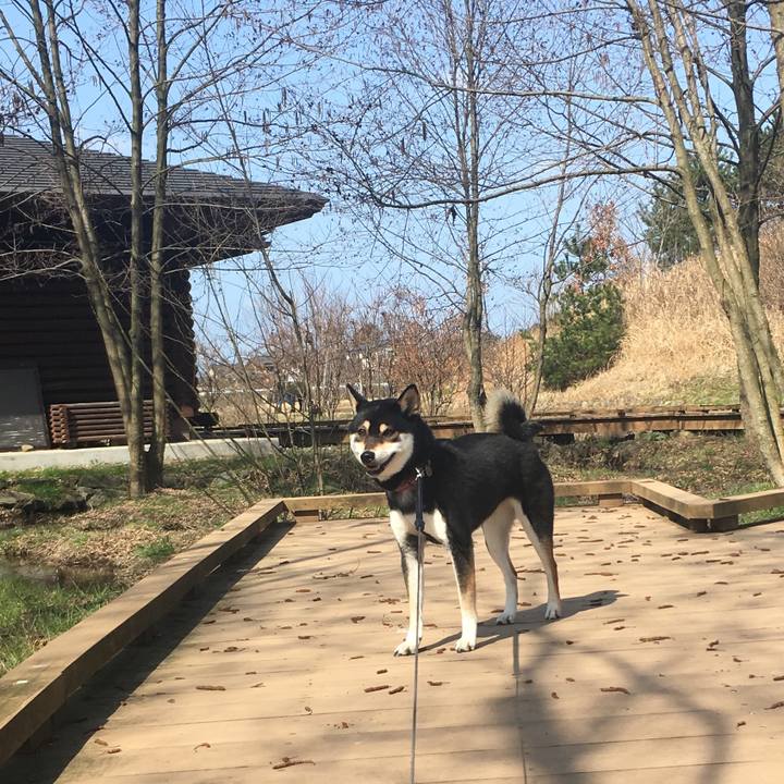 9a930a94 f11b 487e 9abf 7afd34273f50 1583057422452