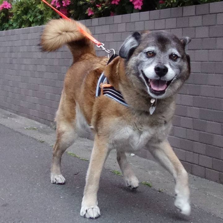 9a931e2e c971 4e41 abd9 631b7d57b950 1525603471832