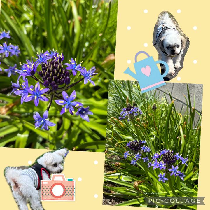 9a932a27 96be 4fb7 9918 693dcfe7e050 1682476233534