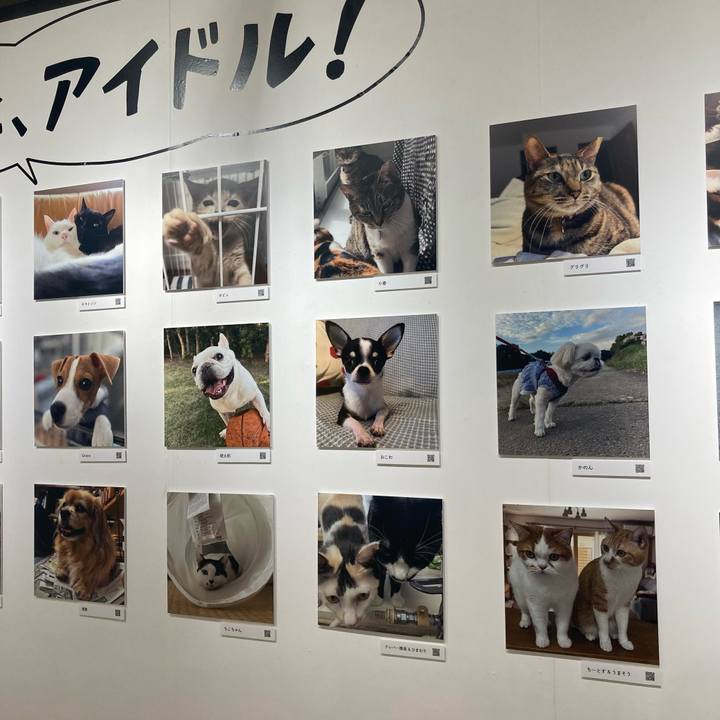 9a933e85 060c 4b8c b528 6a6845de9d0a 1761890491284