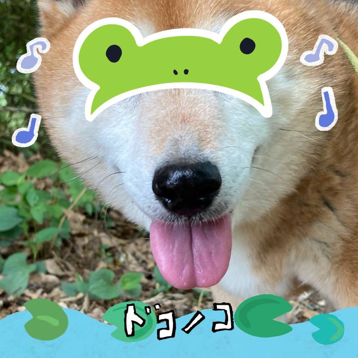 9a936155 91de 45ee a981 96466408599e 1717571252543