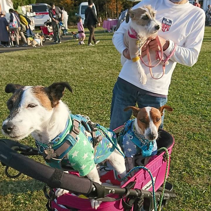 9a937a52 af51 4441 a782 2d08bc098fc8 1605422581706