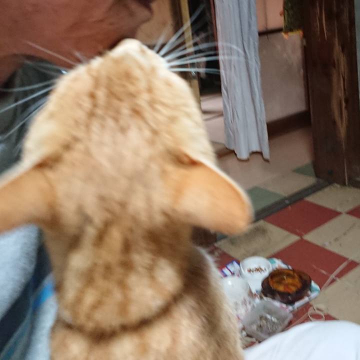 9a9390ca a9bb 48d1 b2af 6716ef44690b 1592422496063