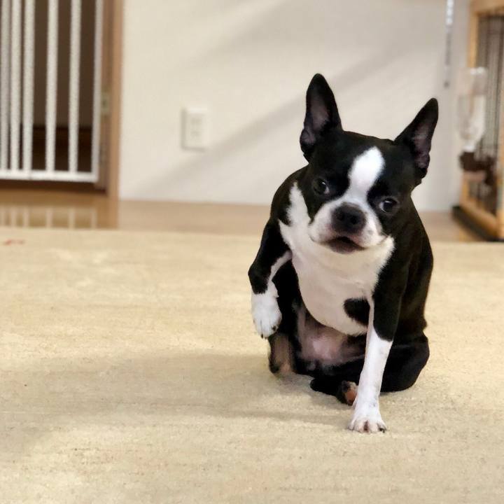 9a93b6da 92da 49a6 b1d2 f524b97c6811 1536739164906