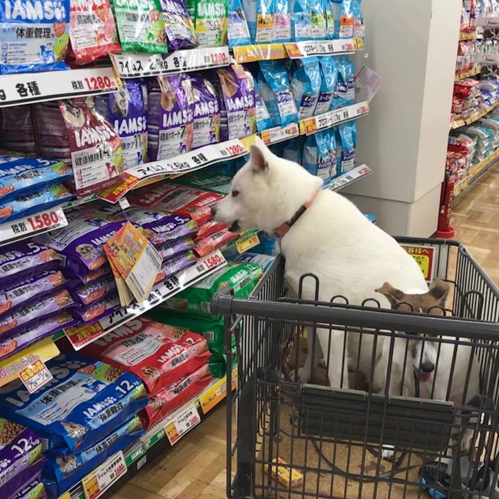 9a93d2e7 8824 4b2a b7b2 47e66c6803e7 1540635065102