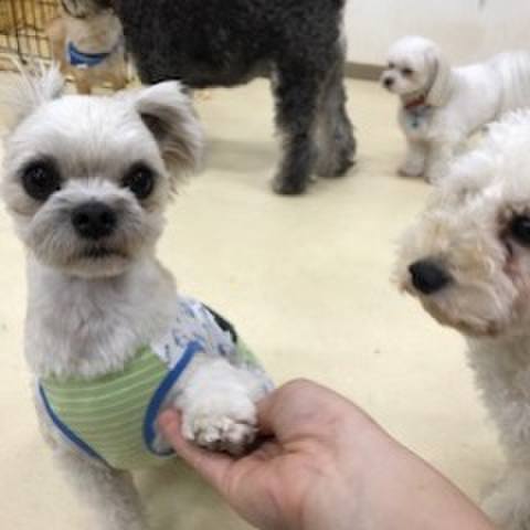 9a93d98b 7c78 4e68 bd70 82e8e0fa1efb 1521113094086