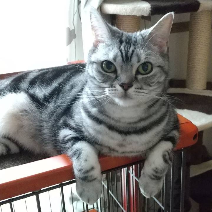 9a93f99b 1e64 4c69 83b6 812c3f2815d8 1683419466145