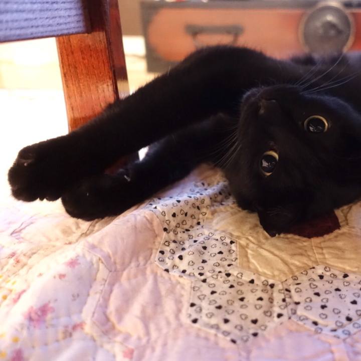 9a94442b 753b 4f65 a215 1daceebc7122 1533130216173