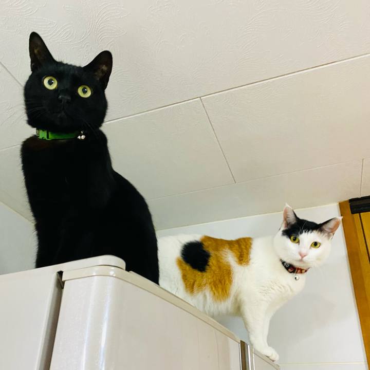 9a946094 3878 414d b680 28819fdaf2c6 1674857939095