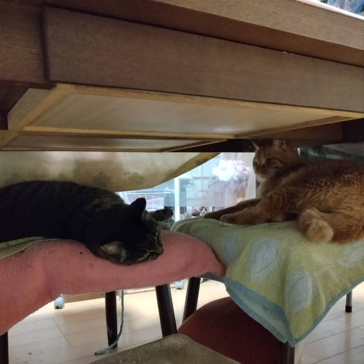 9a94b0f3 2a74 477c b7a5 d8c378dbf7dc 1702593031376