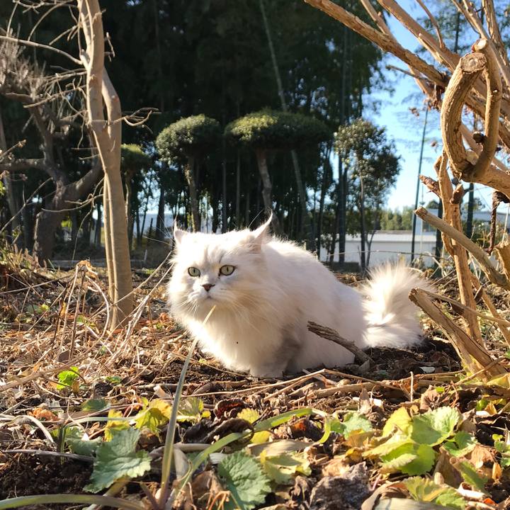 9a94b27e 0ebd 4154 ac85 77650296576c 1581115537999