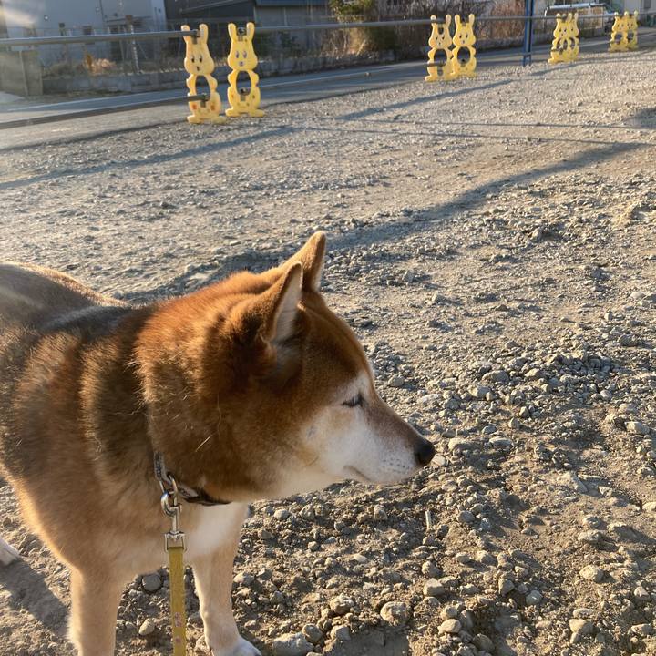 9a94b76b d9fb 4c0e b490 f8e2d204ae1a 1645607706161