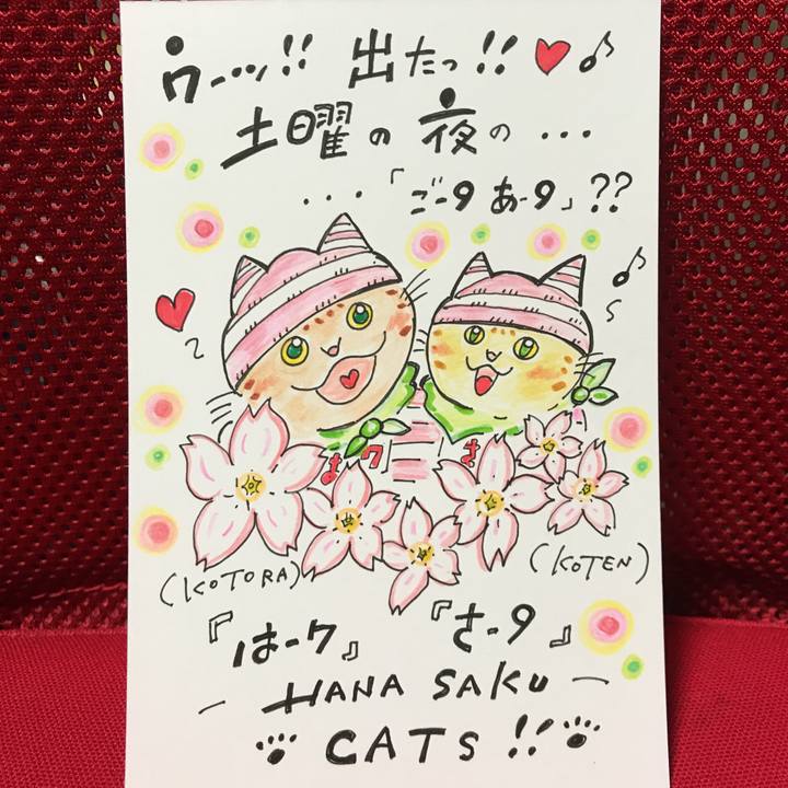 9a94c6e1 6046 4ad7 bf4e 5f45b1a18fbd 1553964522081