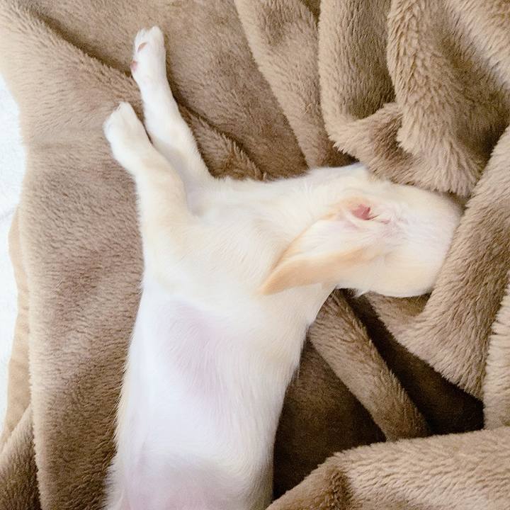 9a94ebde e827 497f a71b dac621ca9085 1594336309757