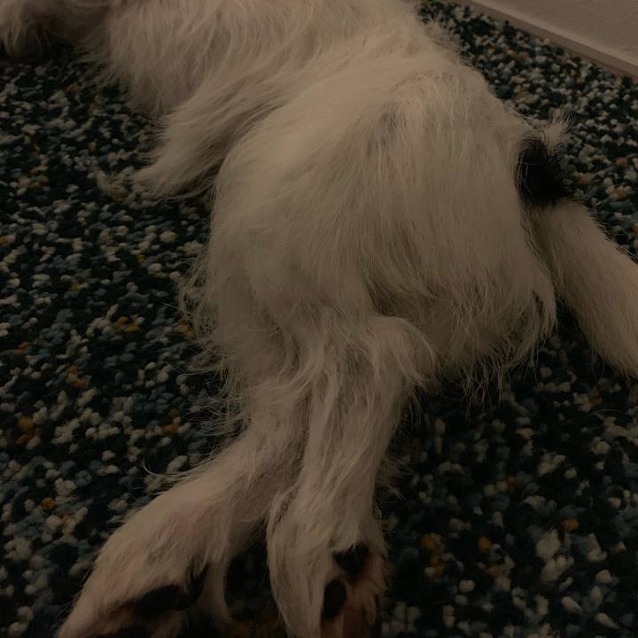 9a94f365 741c 4328 93aa a2fea1d16d49 1567345618362